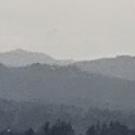 cropped-image2-150x150