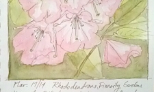 IMG_20140517_132941 (1)